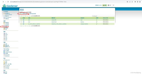 在GeoServer上发布WMS地图服务 集成数据库与计算机网络服务